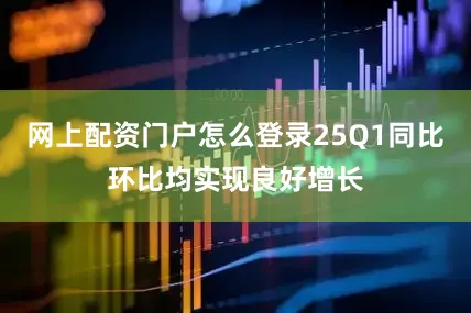 网上配资门户怎么登录25Q1同比环比均实现良好增长
