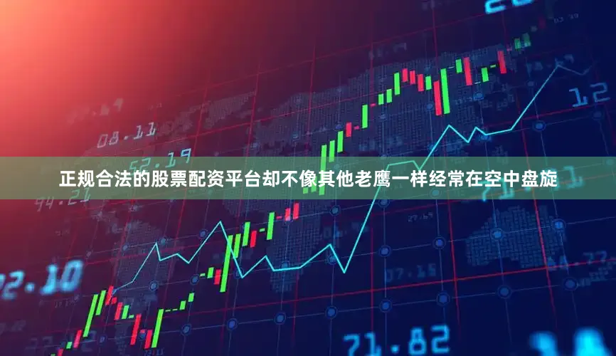 正规合法的股票配资平台却不像其他老鹰一样经常在空中盘旋