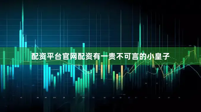 配资平台官网配资有一贵不可言的小皇子